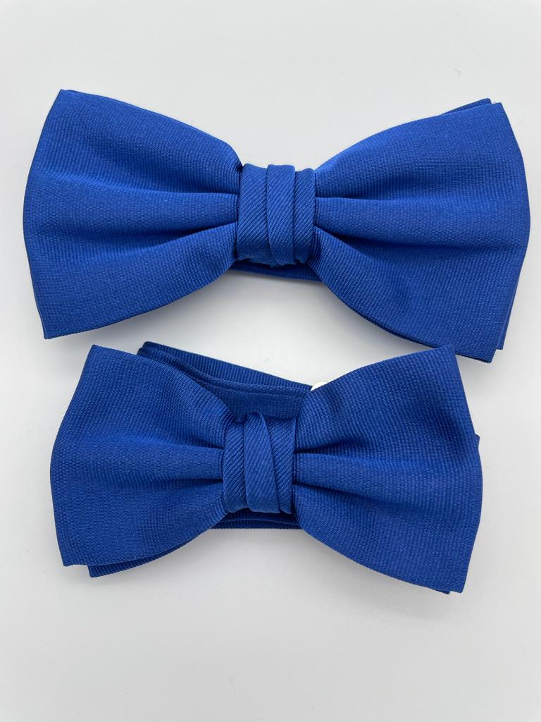 Papillon adulto e bimbo azzurro